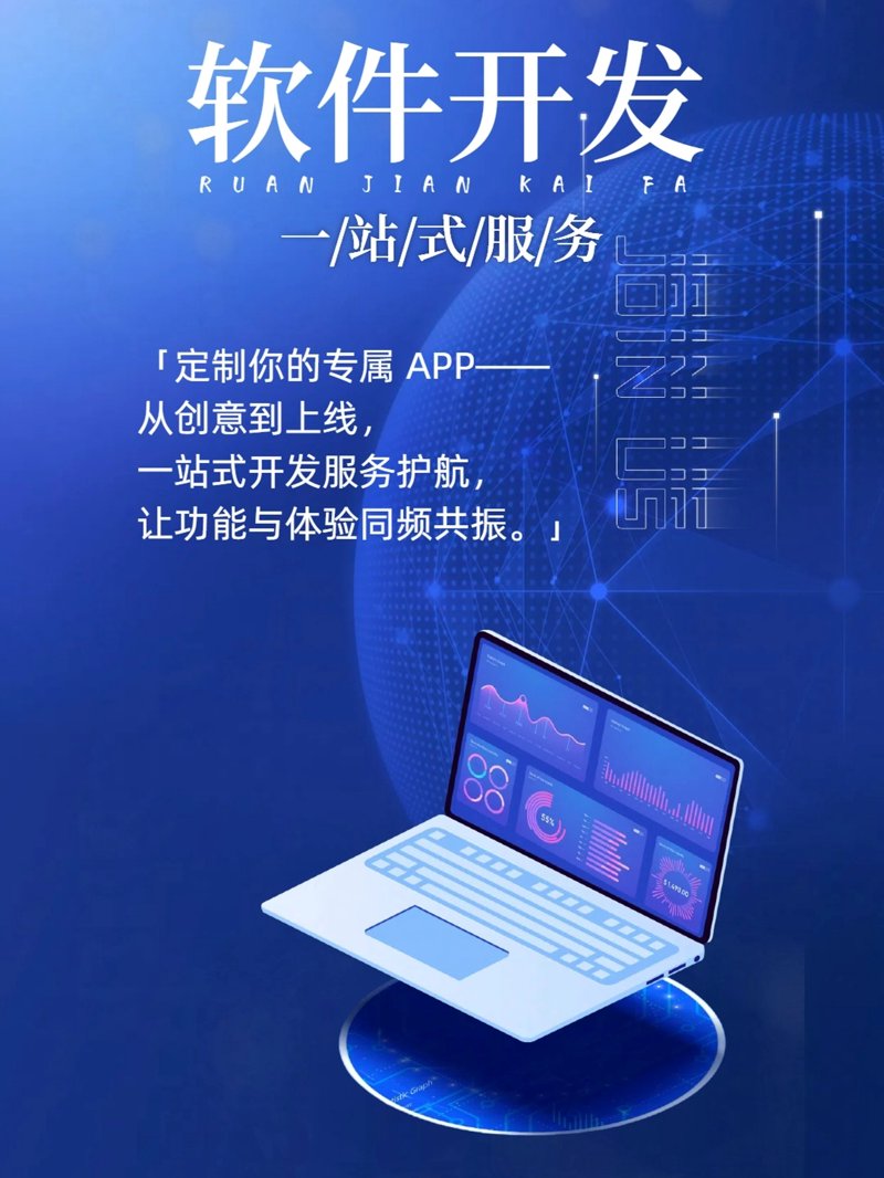 上海软件公司引领行业革新