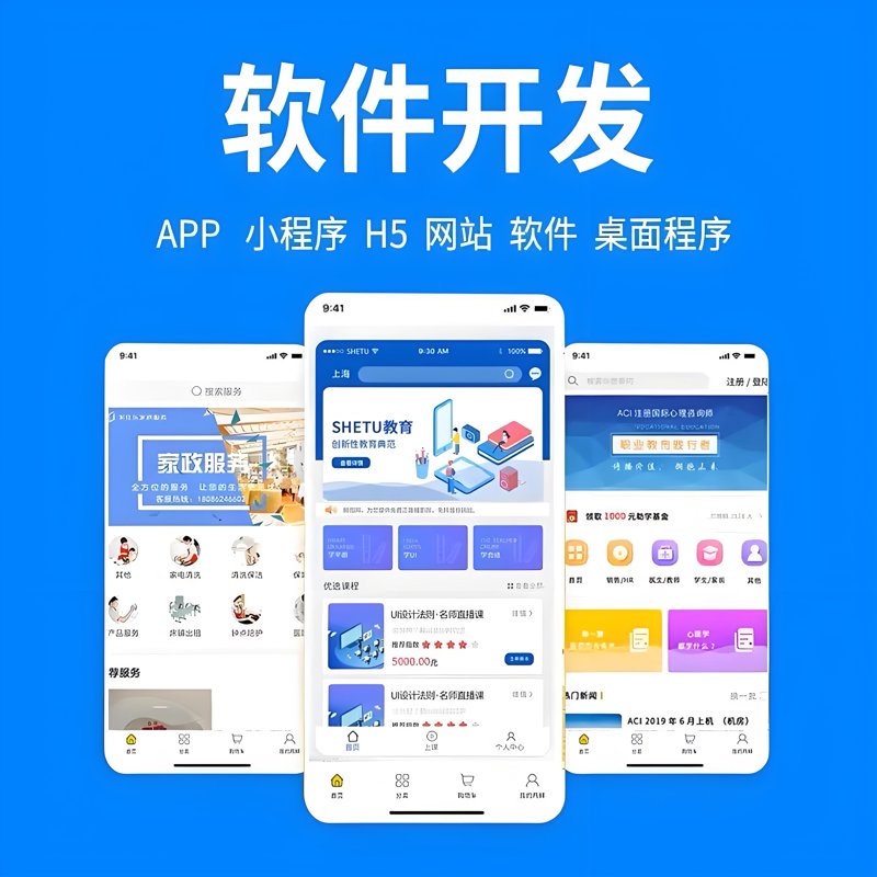 定制软件开发:助力企业高效成长
